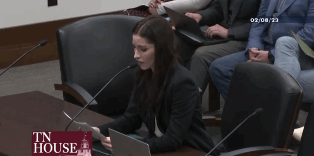 testimony for banning medical transition treatments for minors